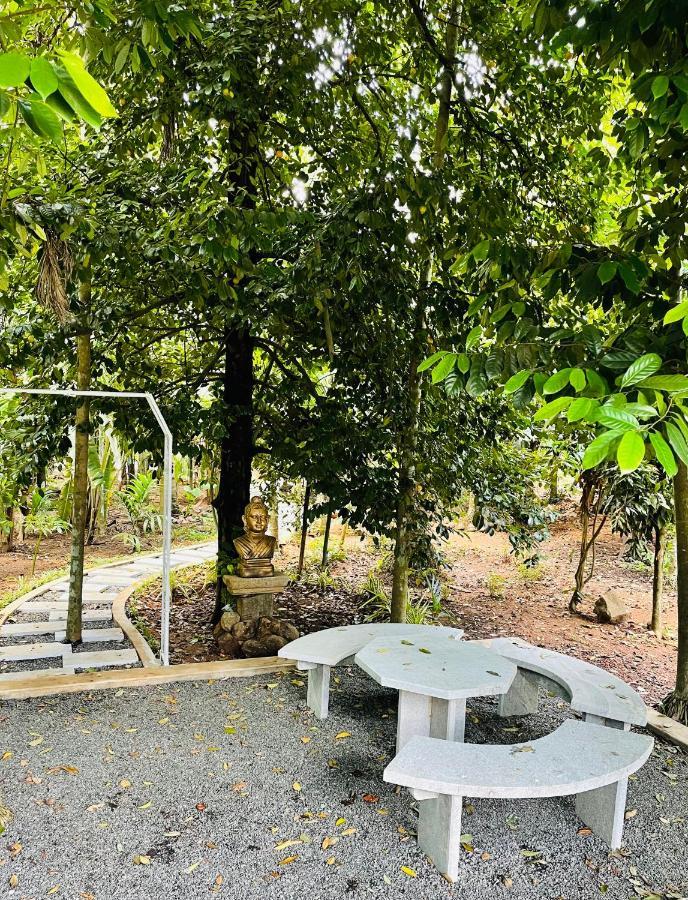 षाले Kayyalas Courtyard