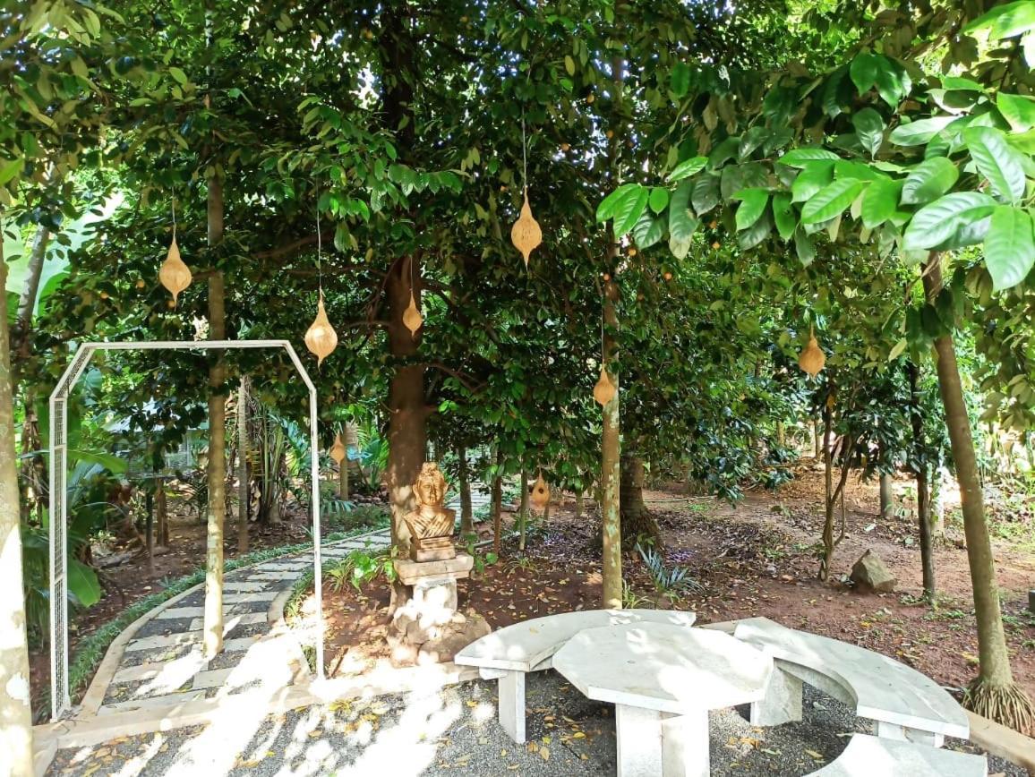Kayyalas Courtyard