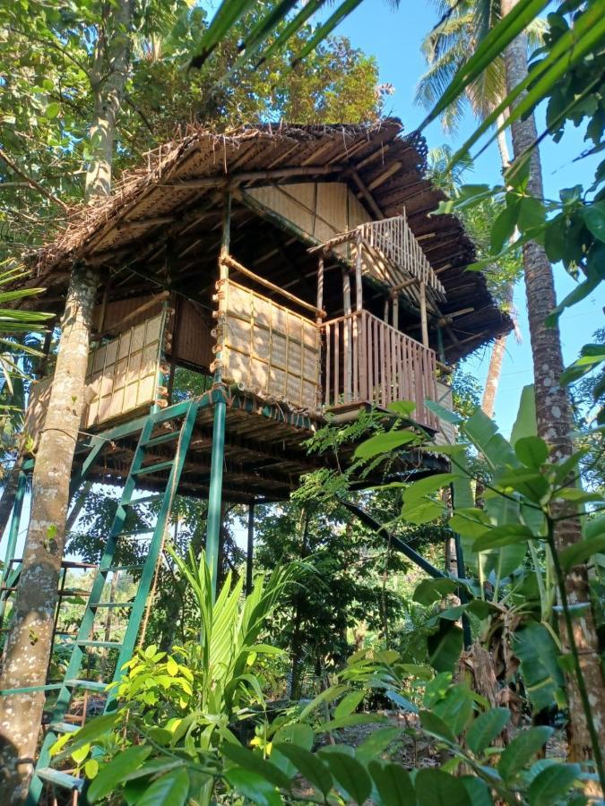Kayyalas Courtyard * Thrissur